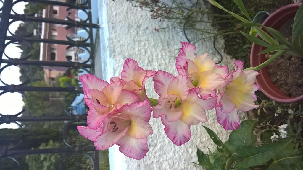 איפסוס Salvanos Residence מראה חיצוני תמונה